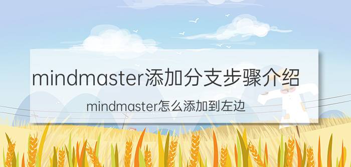 mindmaster添加分支步骤介绍 mindmaster怎么添加到左边？